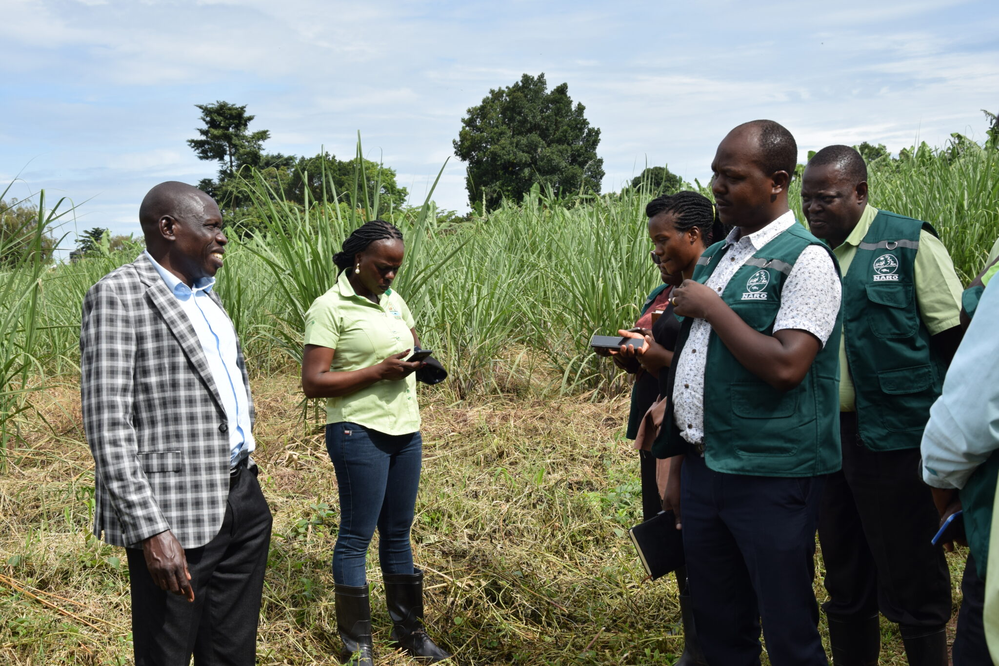Dr. Sadik Kassim (left) interacts with scientists while visiting the sugarcane research site.